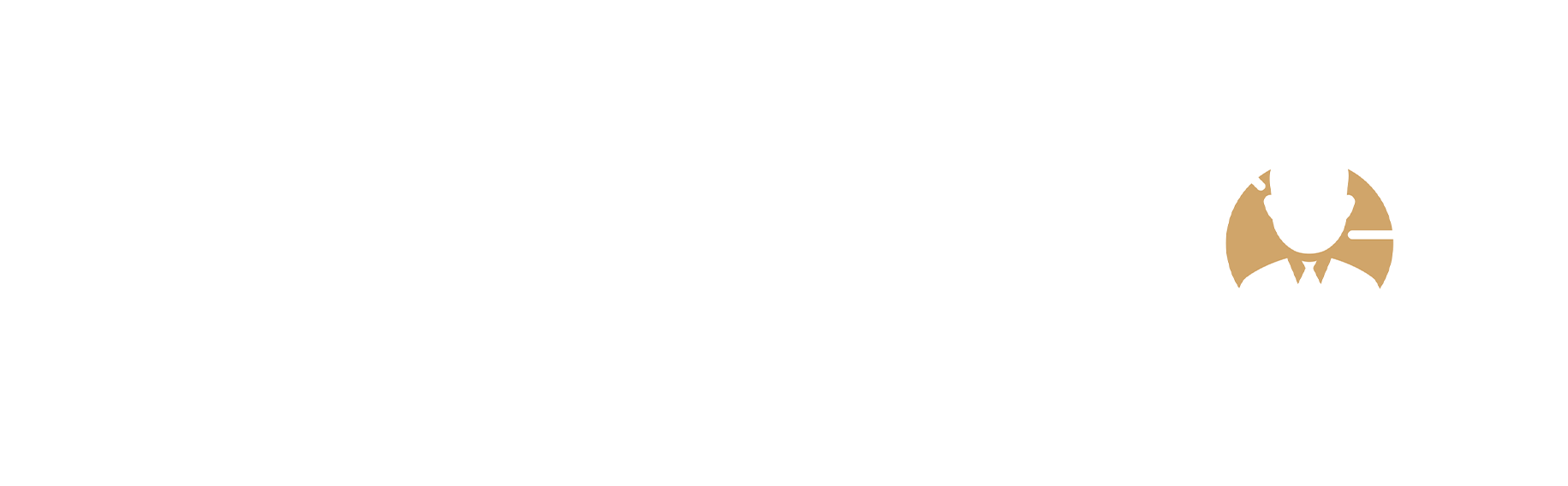 وکیل تو - 24