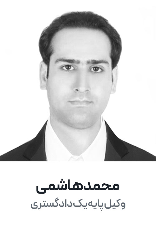 Lawyer-02_0006_وکیل پایه یک دادگستری copy 6